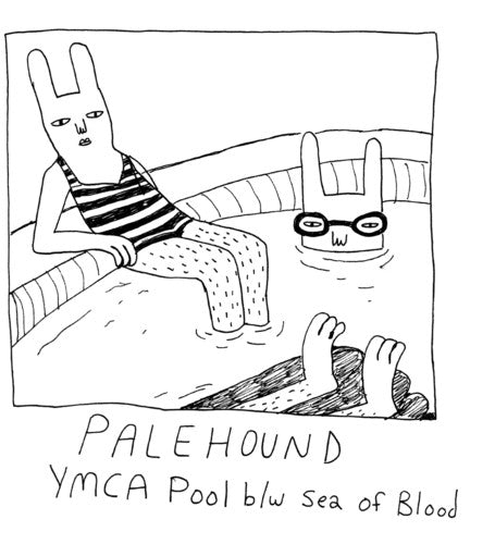 Palehound: Ymca Pool