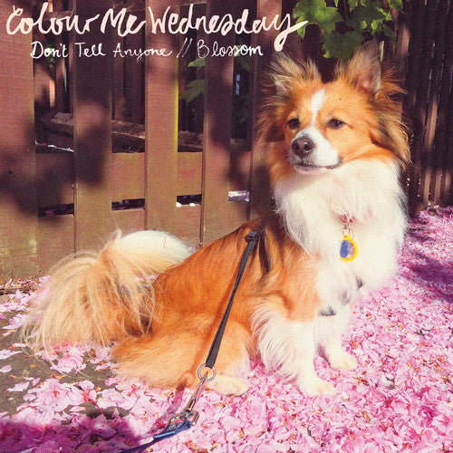 Colour Me Wednesday: Don't Tell Anyone / Blossom