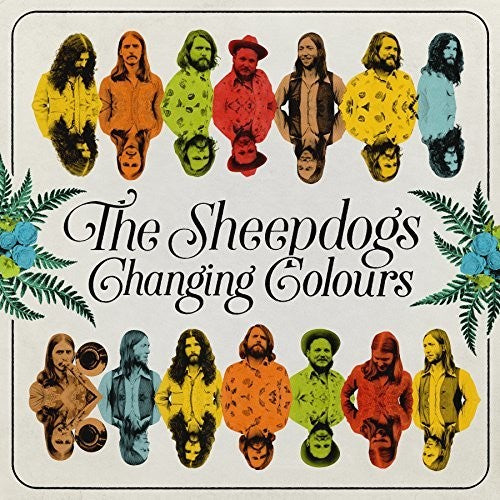 Sheepdogs: Changing Colours