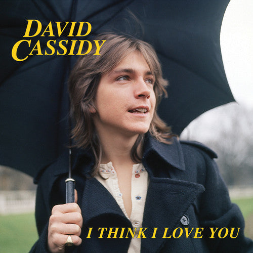 Cassidy, David: I Think I Love You