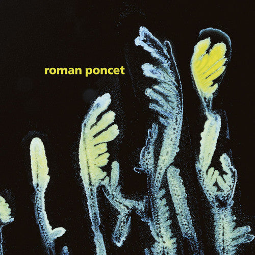 Poncet, Roman: Gypsophila