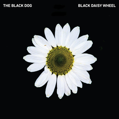 Black Dog: Black Daisy Wheel