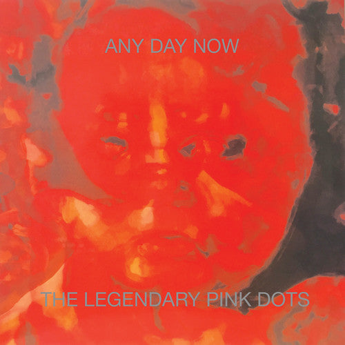 Legendary Pink Dots: Any Day Now