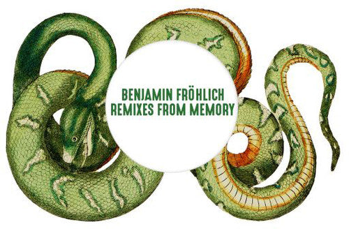 Frohlich, Benjamin: Remixes From Memory