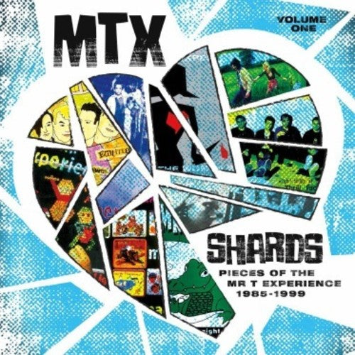 Mr T Experience: Shards Vol. 1