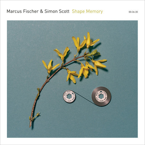 Fischer, Marcus / Scott, Simon: Shape Memory