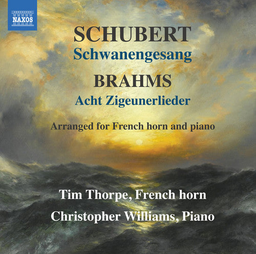 Brahms / Shubert: Schwanengesang
