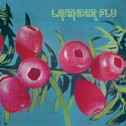 Lavender Flu: Mow The Glass