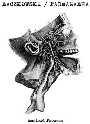 Baczkowski / Padmanabha: Mastoid Process