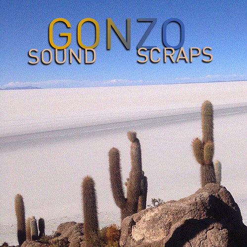 Gonzo: Sound Scraps