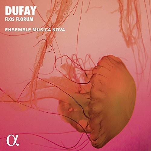 Dufay / Ensemble Musica Nova: Flos Florum