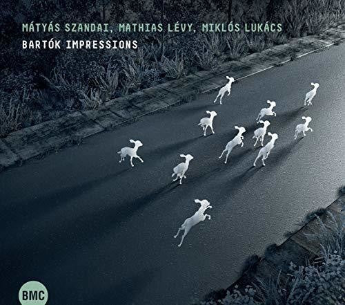 Szandai, Matyas / Levy, Mathias: Bartok Impressions