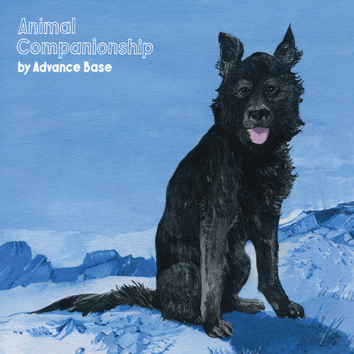 Advance Base: Animal Companionship