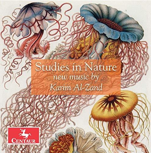 Al-Zand / Roitstein / Hauschildt: Studies in Nature