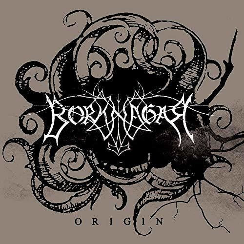 Borknagar: Origin