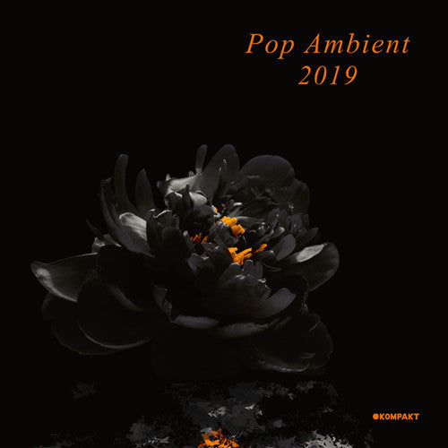 Pop Ambient 2019 / Various: Pop Ambient 2019 (Various Artists)