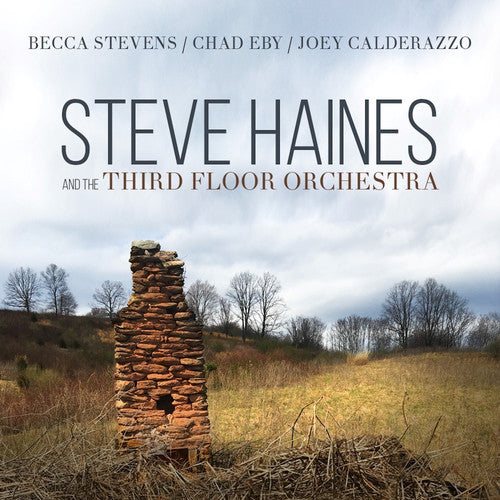 Haines, Steve & Third Floor Orchestra: Steve Haines And The Third Floor Orchestra