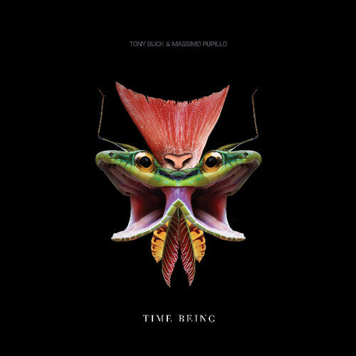 Buck, Tony & Pupillo, Massimo: Time Being