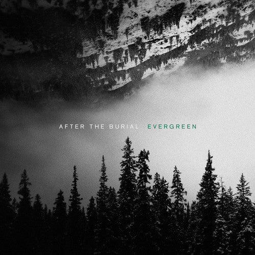 After the Burial: Evergreen