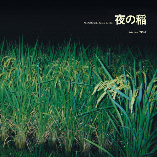 Kudo, Reiko: Rice Field Silently Riping in the Night