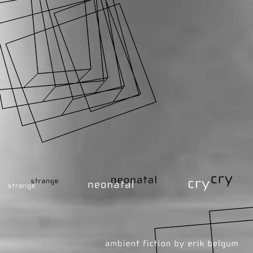 Belgum, Erik: Strange Neonatal Cry: Ambient Fiction