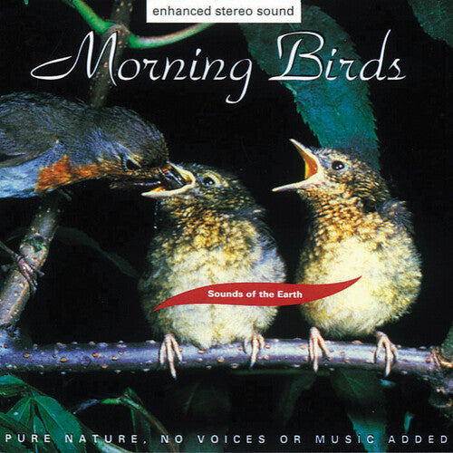 Sounds of Earth: Morning Birds / Various: Sounds Of Earth: Morning Birds