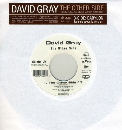Gray, David: Other Side / Babylon: Live at Joe's Pub
