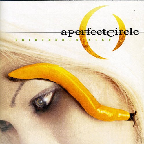 Perfect Circle: Thirteenth Step