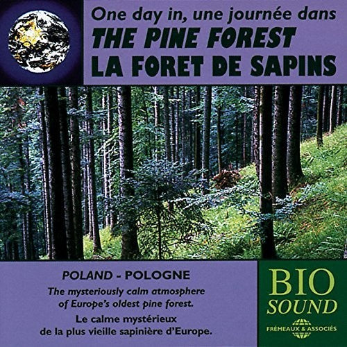 Sounds of Nature: The Pine Forest