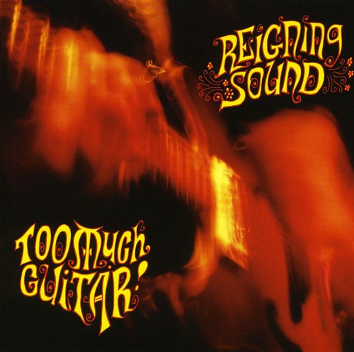 Reigning Sound: Too Much Guitar