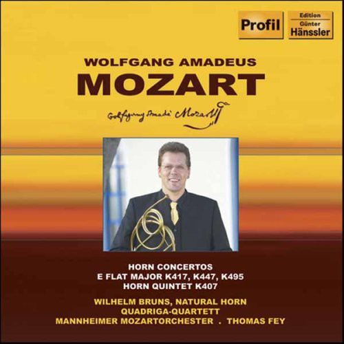 Mozart / Bruns / Quadriga Quartett / Fey: Horn Concertos
