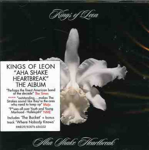 Kings of Leon: A-Ha Shake Heartbreak