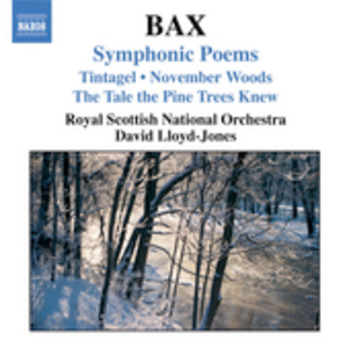 Bax / Lloyd-Jones / Rsno: Symphonic Poems