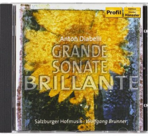 Diabelli / Brunner / Salzburger Hofmusik: Grand Sonata Brillante