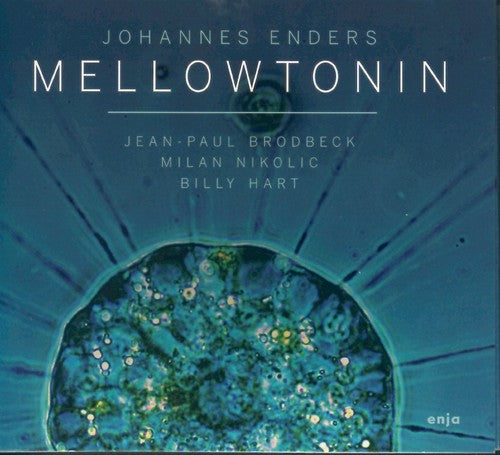 Enders, Johannes: Mellowtonin