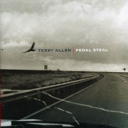 Allen, Terry: Pedal Steel