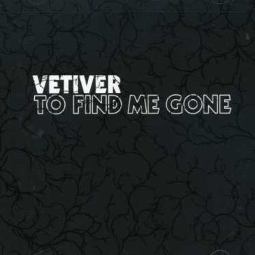 Vetiver: To Find Me Gone