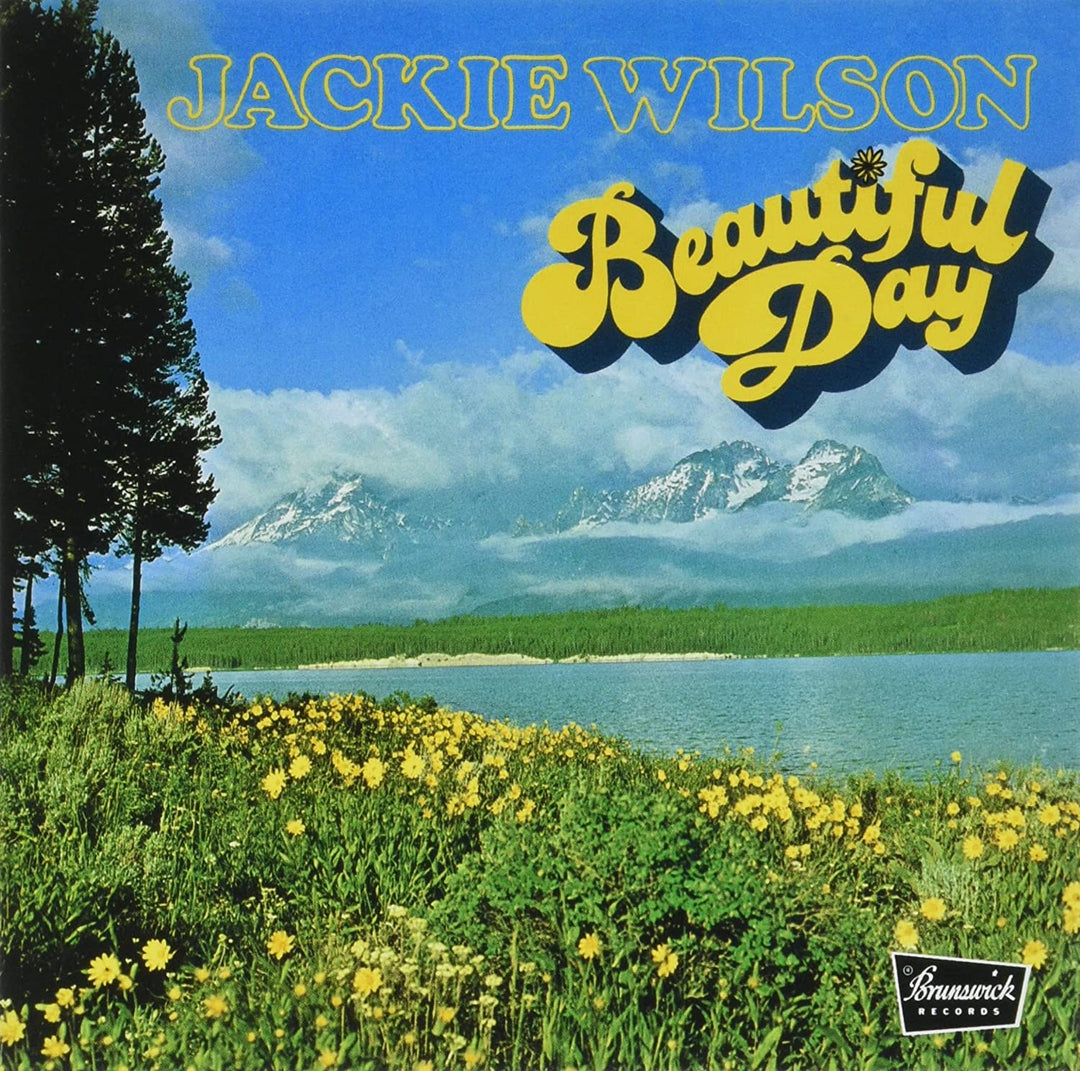 Wilson, Jackie: Beautiful Day (Remastered)