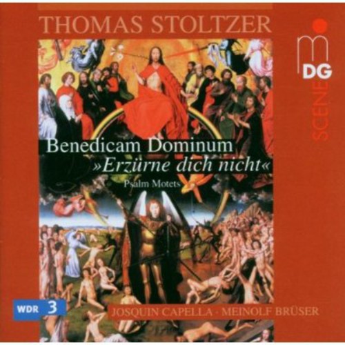 Stoltzer / Cappella / Bruser: Latin & German Psalms