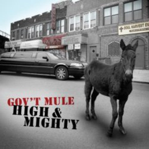 Gov't Mule: High and Mighty