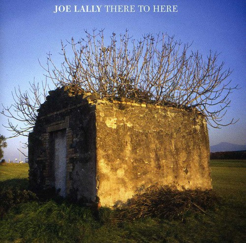 Lally, Joe: There to Here