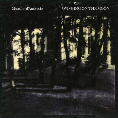 D'Ambrosio, Meredith: Wishing on the Moon