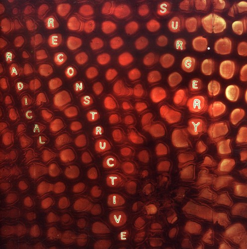 Hard, Scotty Radical Reconstructive Surgery: Scotty Hard's Radical Reconstructive Surgery - John Medeski and Matthew Shipp