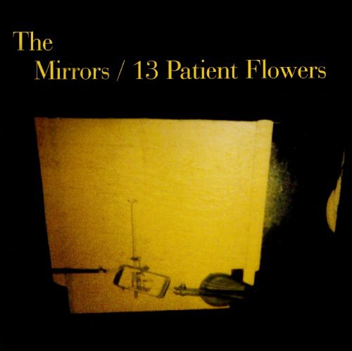 Mirrors: 13 Patient Flowers