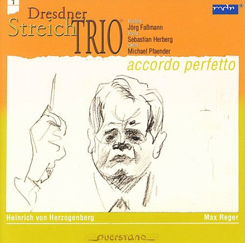 Herzogenberg / Reger / Dresden String Trio: Accordo Perfetto 1: Trio/String Trio Op.77B