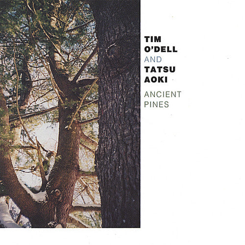O'Dell/Aoki: Ancient Pines